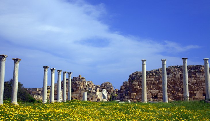 سالامیس باستان