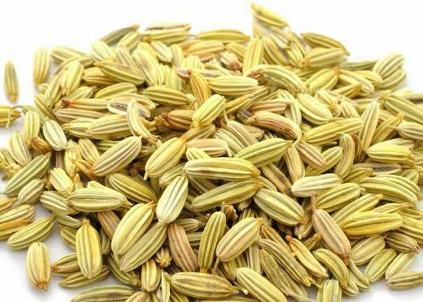 رازیانه