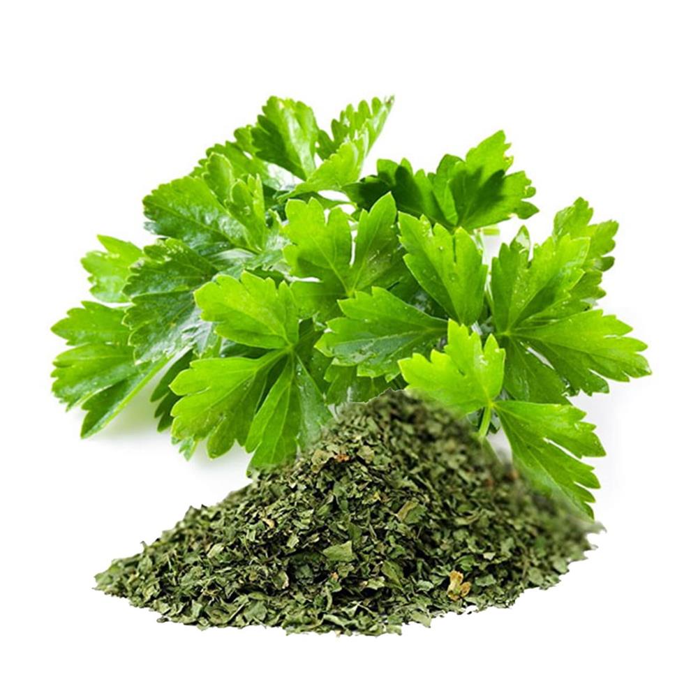 گشنیز