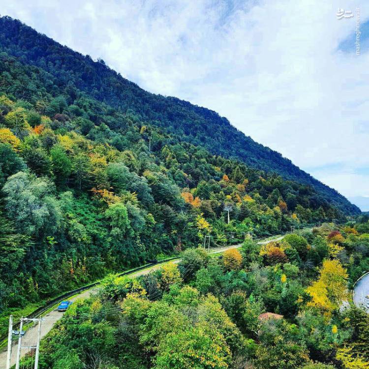 گلستان