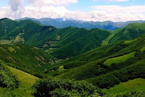 جنگل ارسباران تبریز