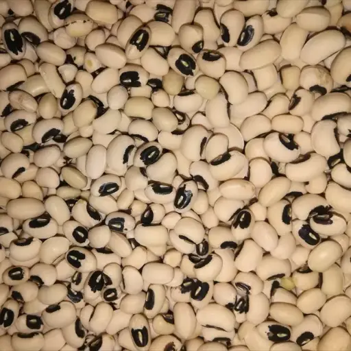 لوبیا چشم بلبلی