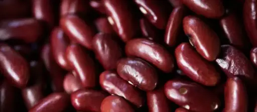 لوبیا قرمز